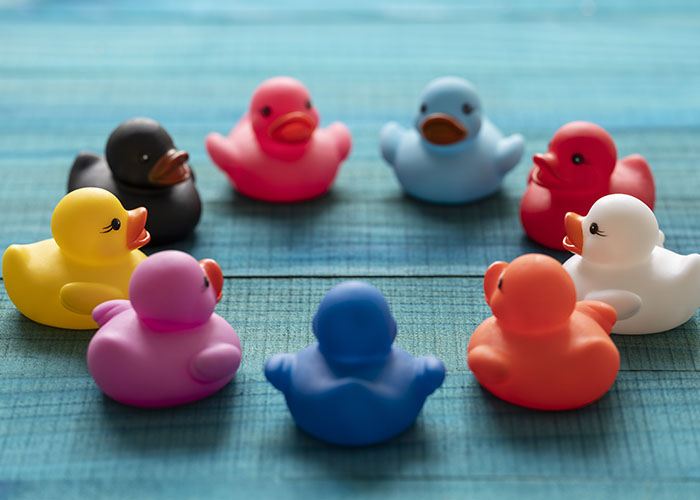 A circle of multi-colored rubber ducks