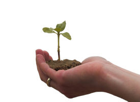 How to Develop a B2B Lead Nurturing Program that Really Works